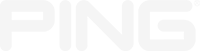 PING logo