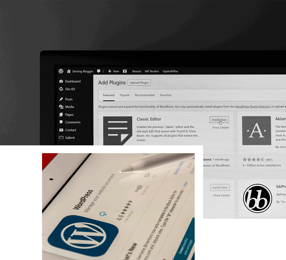 Website CMS WordPress