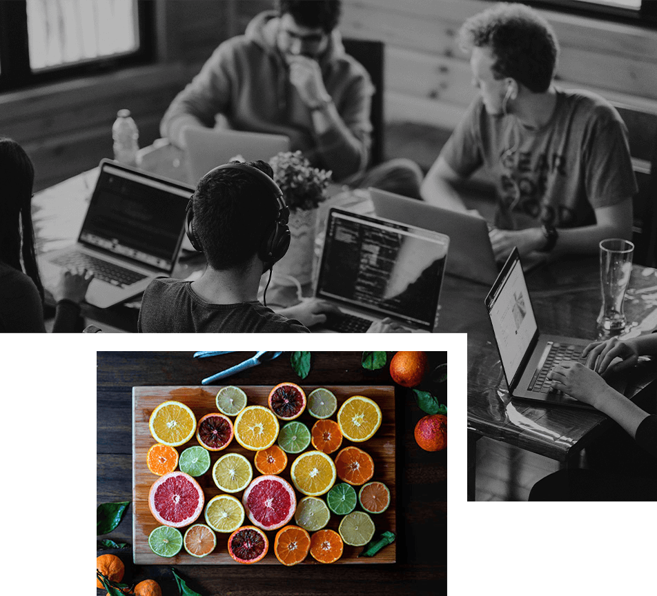 Web Design - Typography / Layout / Color
