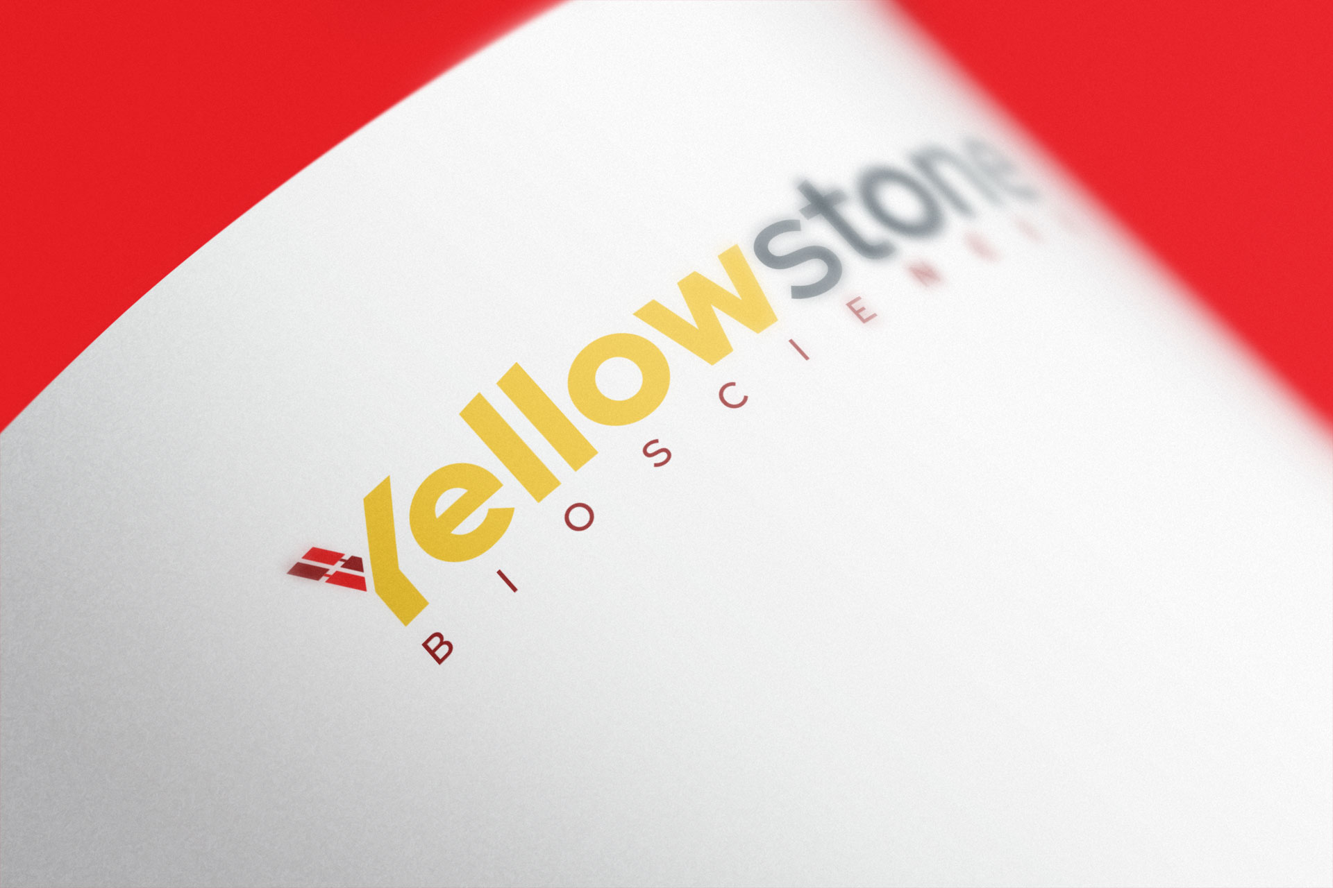 Yellowstone logo design by TIG marketing agency