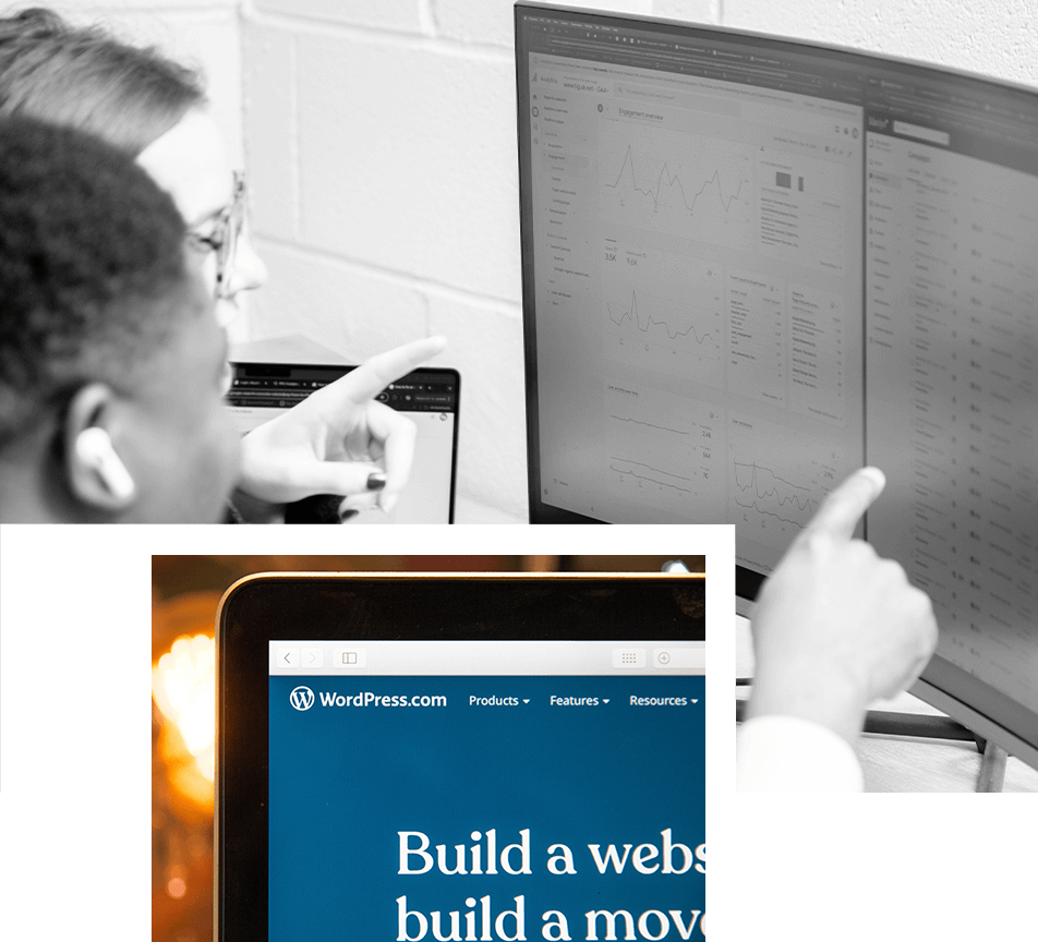 Legacy systems replaced by custom Laravel business software interface